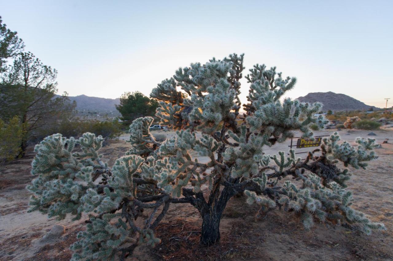 @ Marbella Lane - 10 Acres Oasis Desert Retreat! Joshua Tree Exterior photo