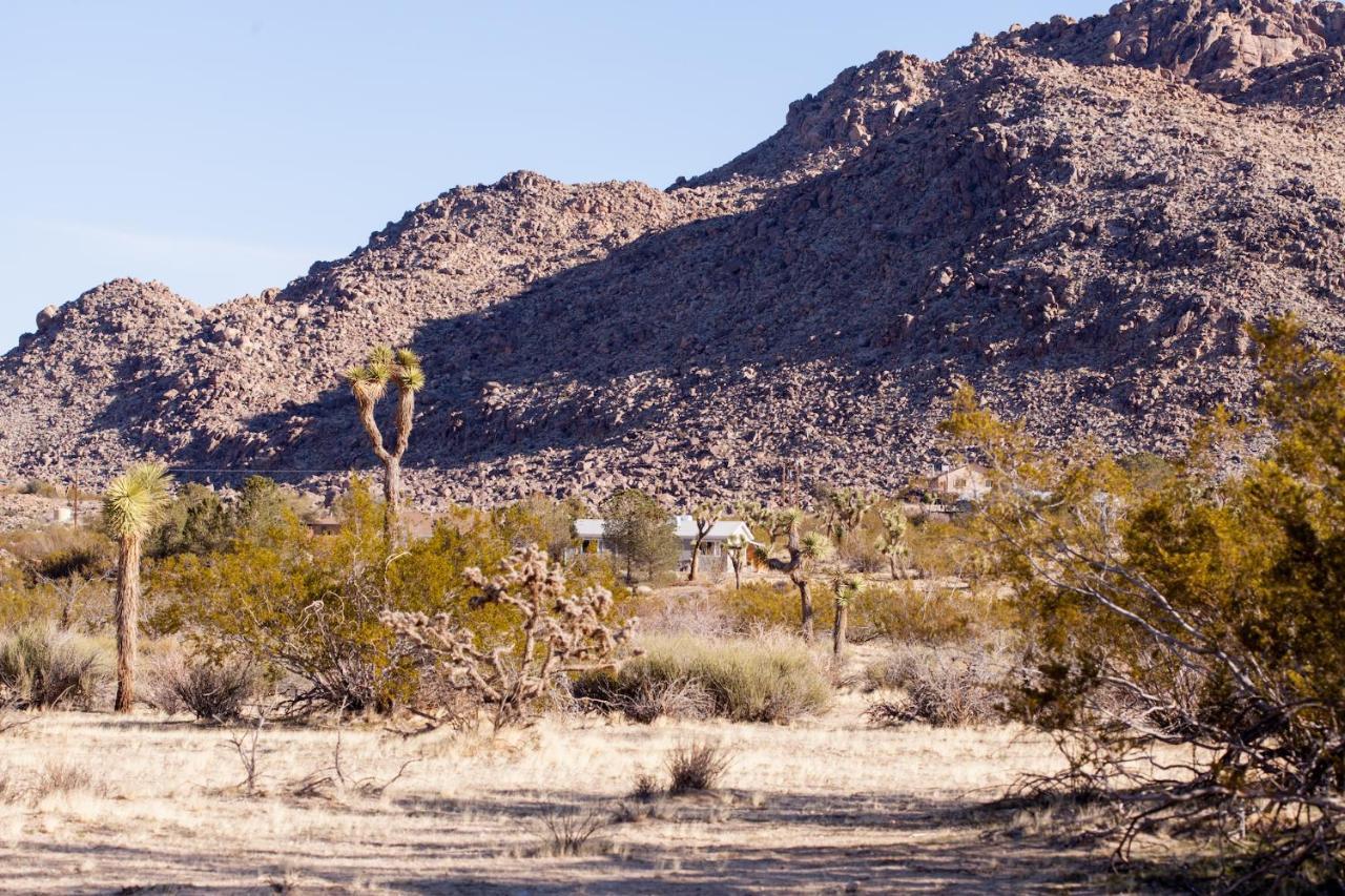 @ Marbella Lane - 10 Acres Oasis Desert Retreat! Joshua Tree Exterior photo